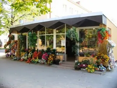 Kaktusik. Kwiaciarnia